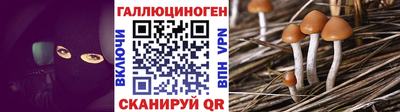наркота  Велиж  shop Telegram  Галлюциногенные грибы MAGIC MUSHROOMS 
